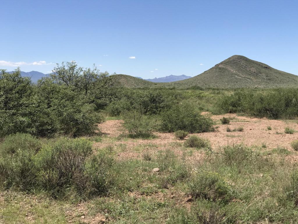 Tbd Rucker Road - Photo 1