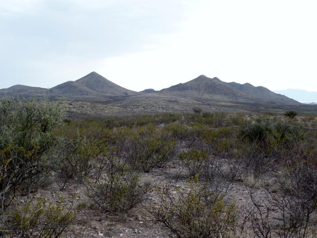 Tbd 20 Acres Highway 82 - Photo 1