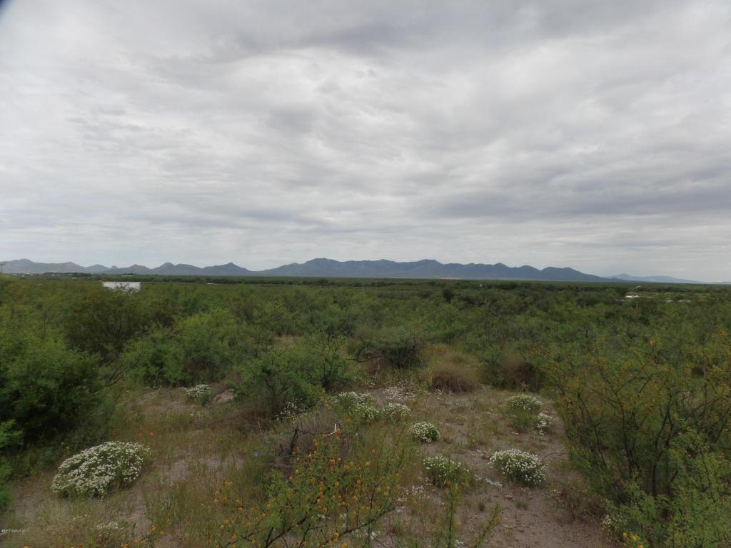 41 Acres Charles Trail - Photo 1