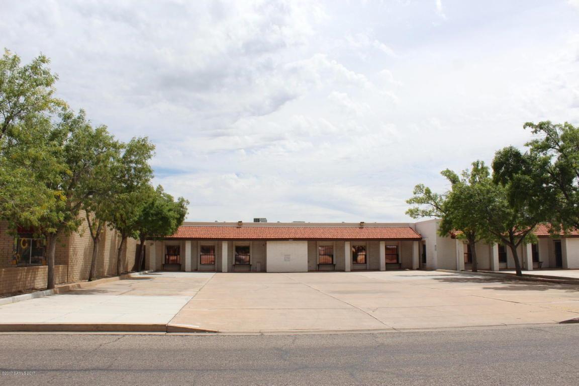 1843 Paseo San Luis - Photo 1