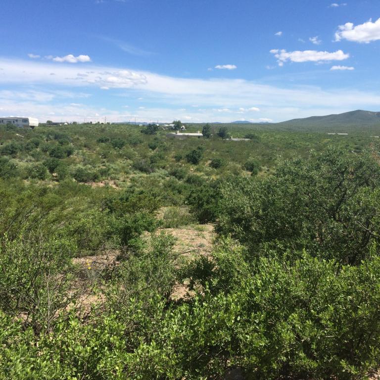 287 Tombstone Territory Estate #1 - Photo 1