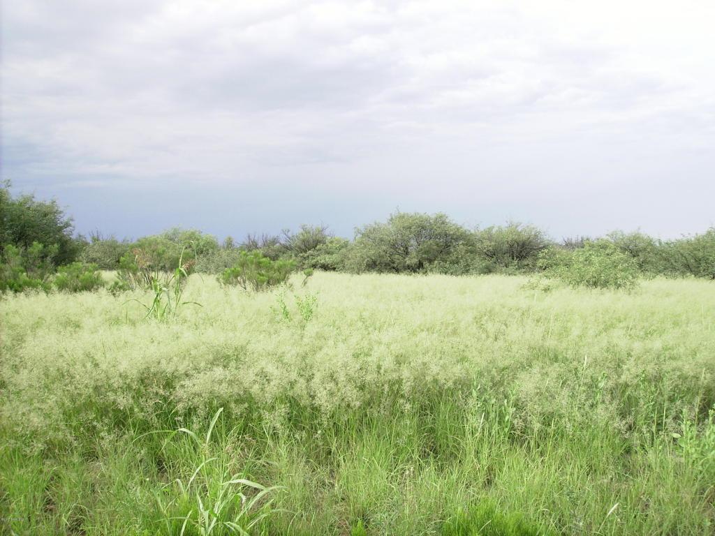 01-088a Three Canyons Boulevard - Photo 1