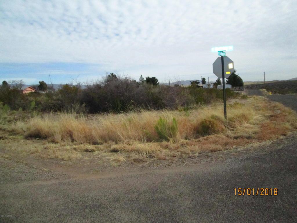 2451 Holiday Drive - Photo 1