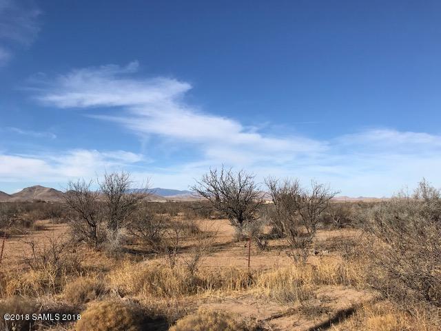 18.79 Ac Blue Darter Lane - Photo 1