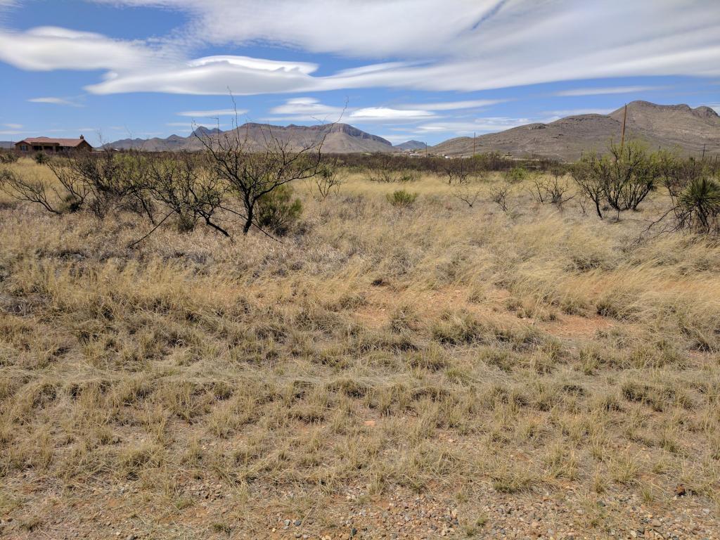 Tbd Che Trail-Buchanan - Photo 1