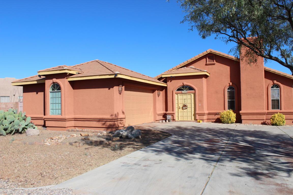 5375 Desert Spoon Drive - Photo 1