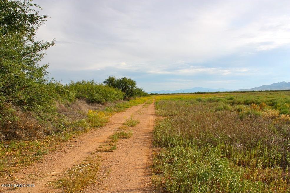 4800 Ranch House Road - Photo 1