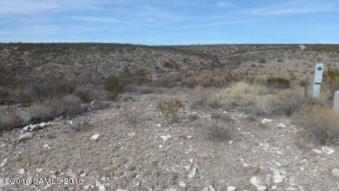 Tbd San Pedro Way - Photo 1