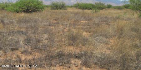25j Rascal Ranch Road - Photo 1