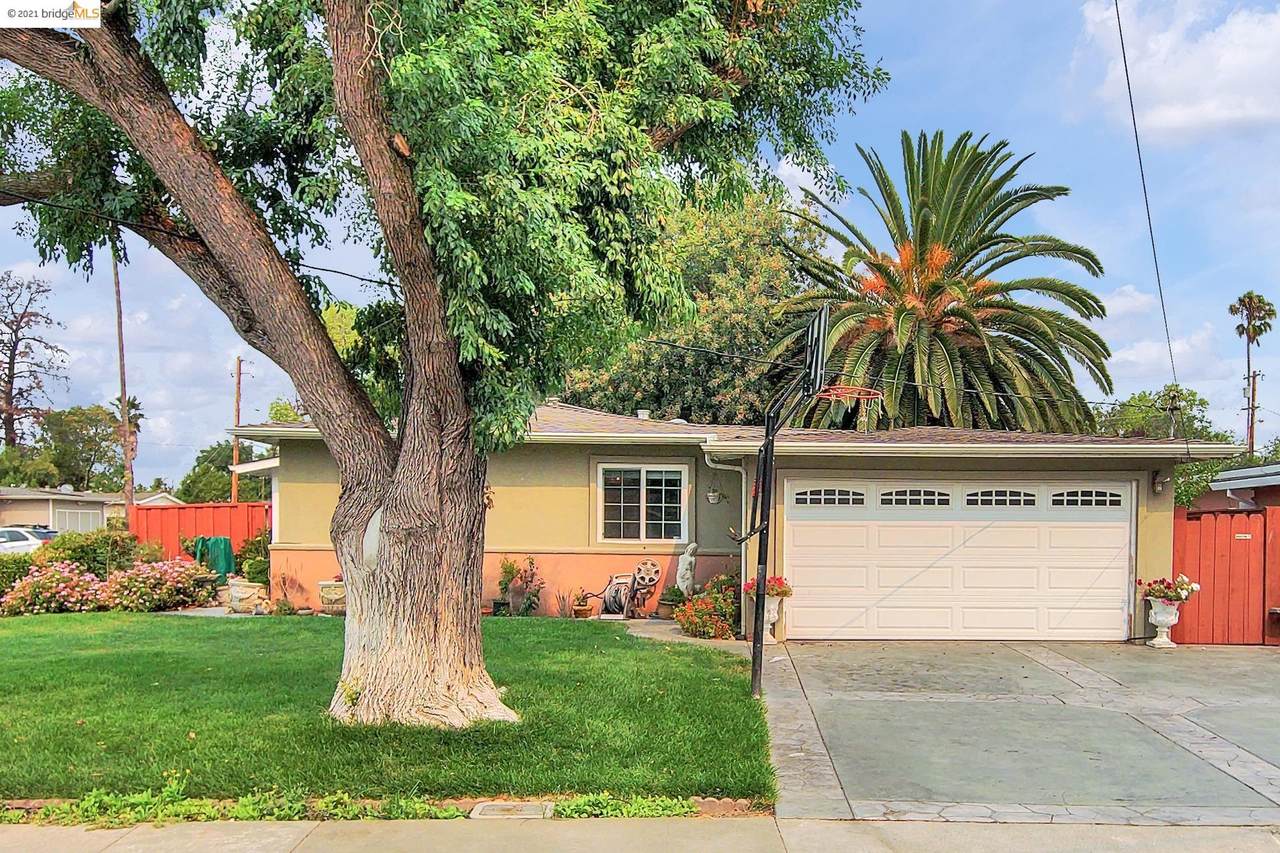 1250 Cypress Drive - Photo 1