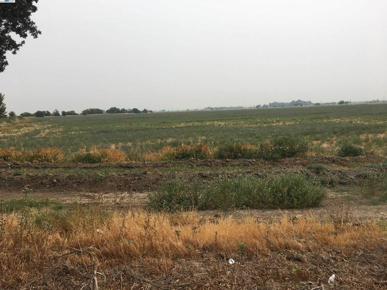 19200 Lammers Rd - Photo 1