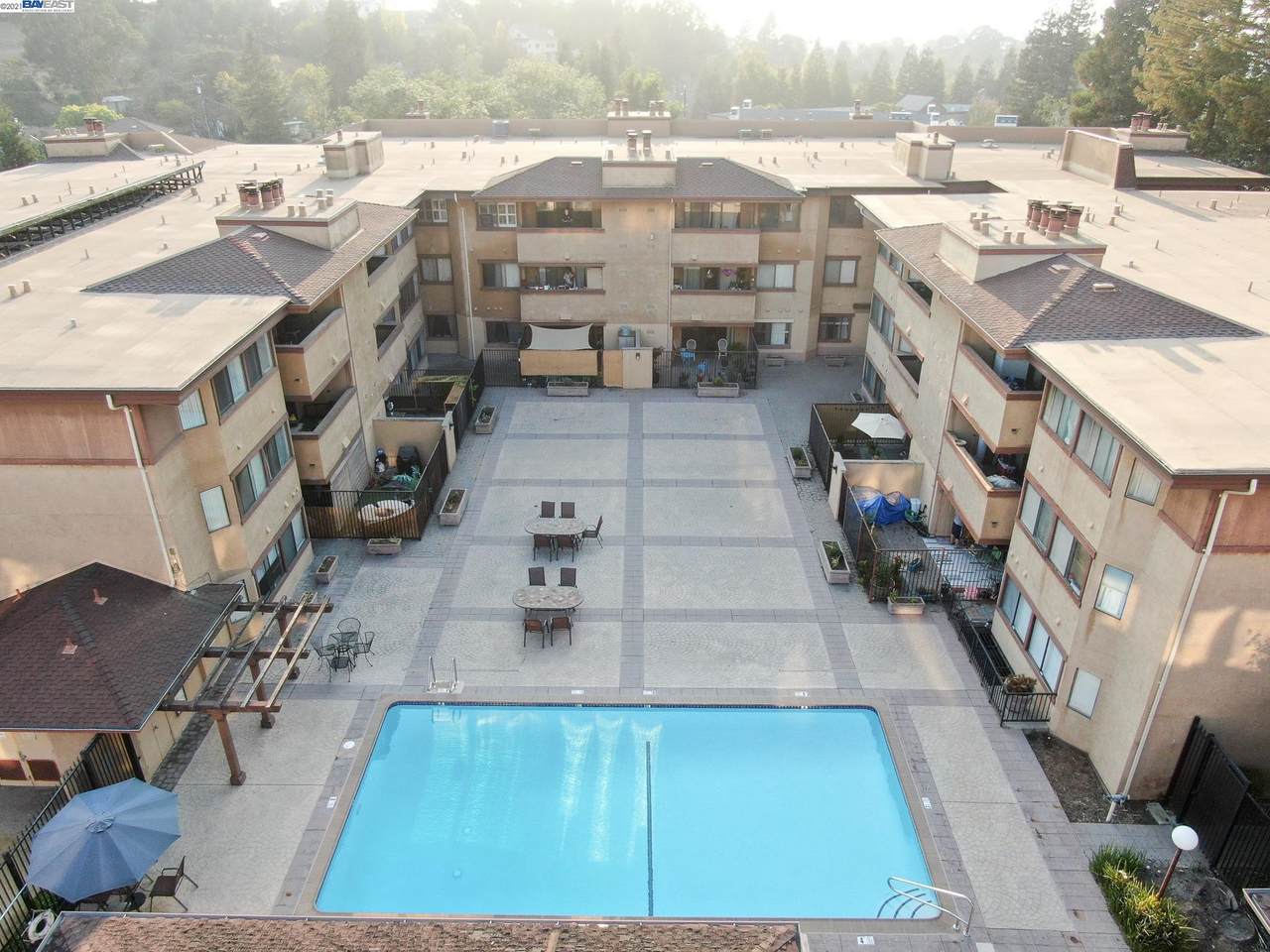 26937 Hayward Blvd 338 - Photo 1