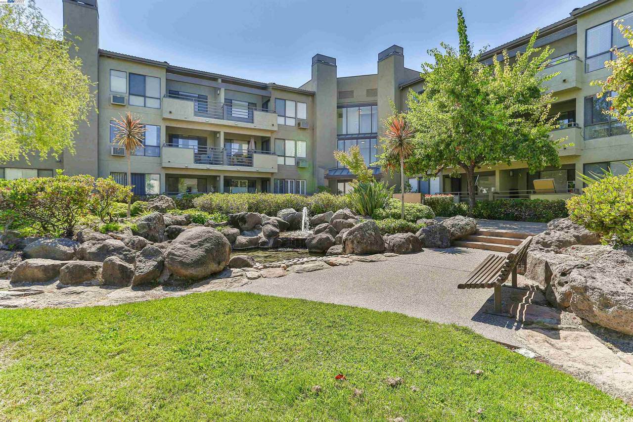 39078 Guardino Dr 103 - Photo 1
