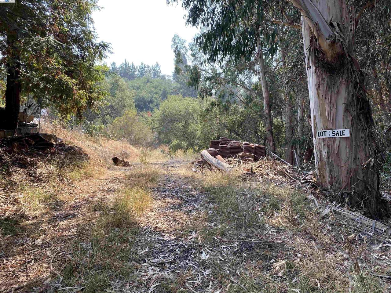 N/A Clover Road - Photo 1