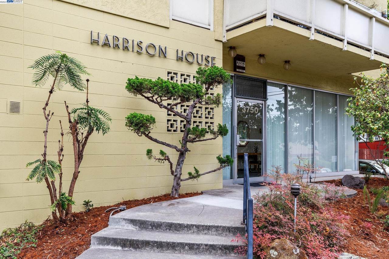Harrison St 207 - Photo 1