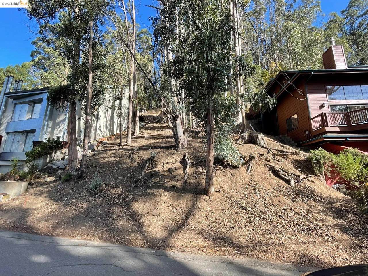 1830 Arrowhead Dr - Photo 1