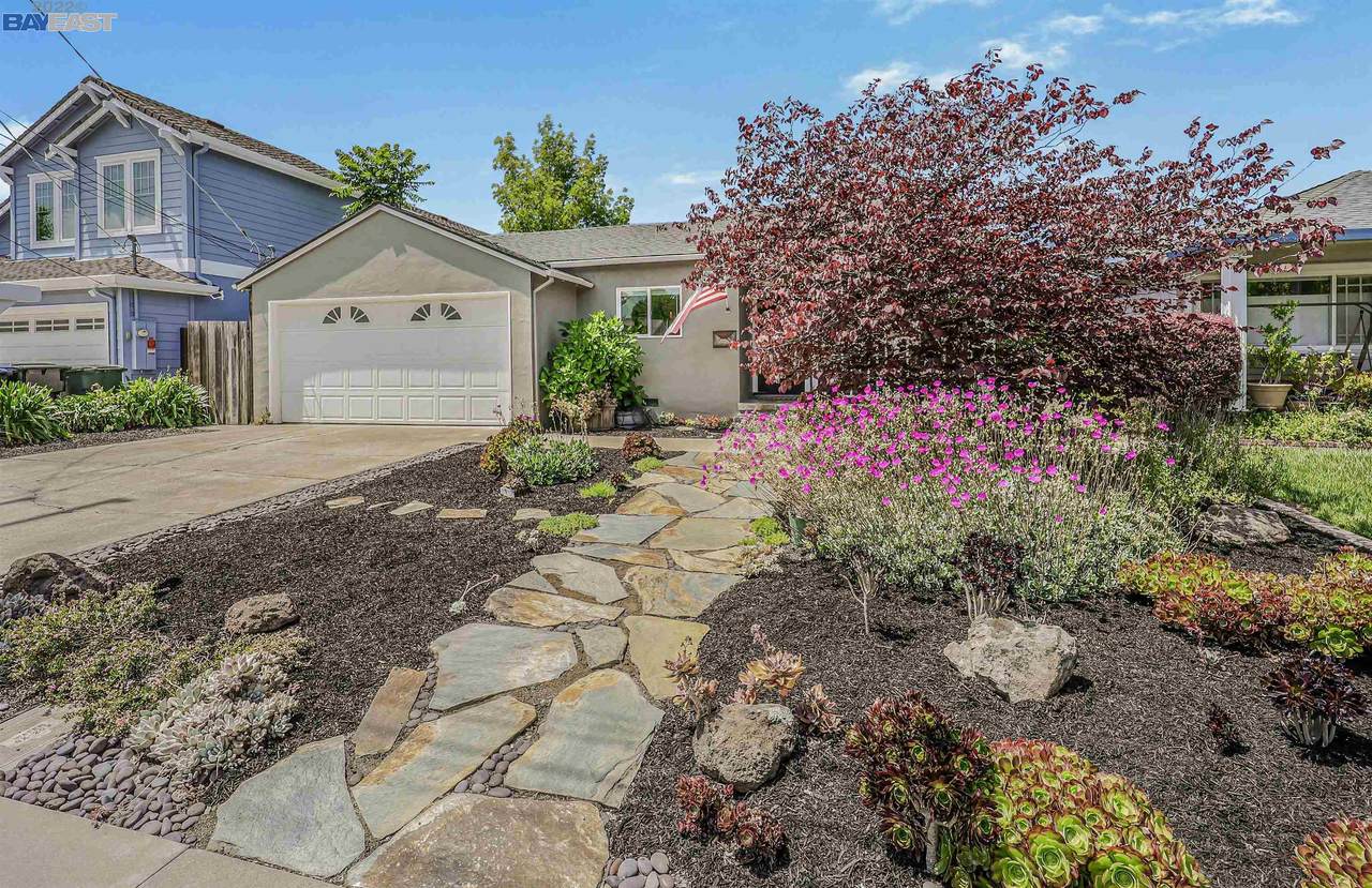 343 Amador Ct - Photo 1
