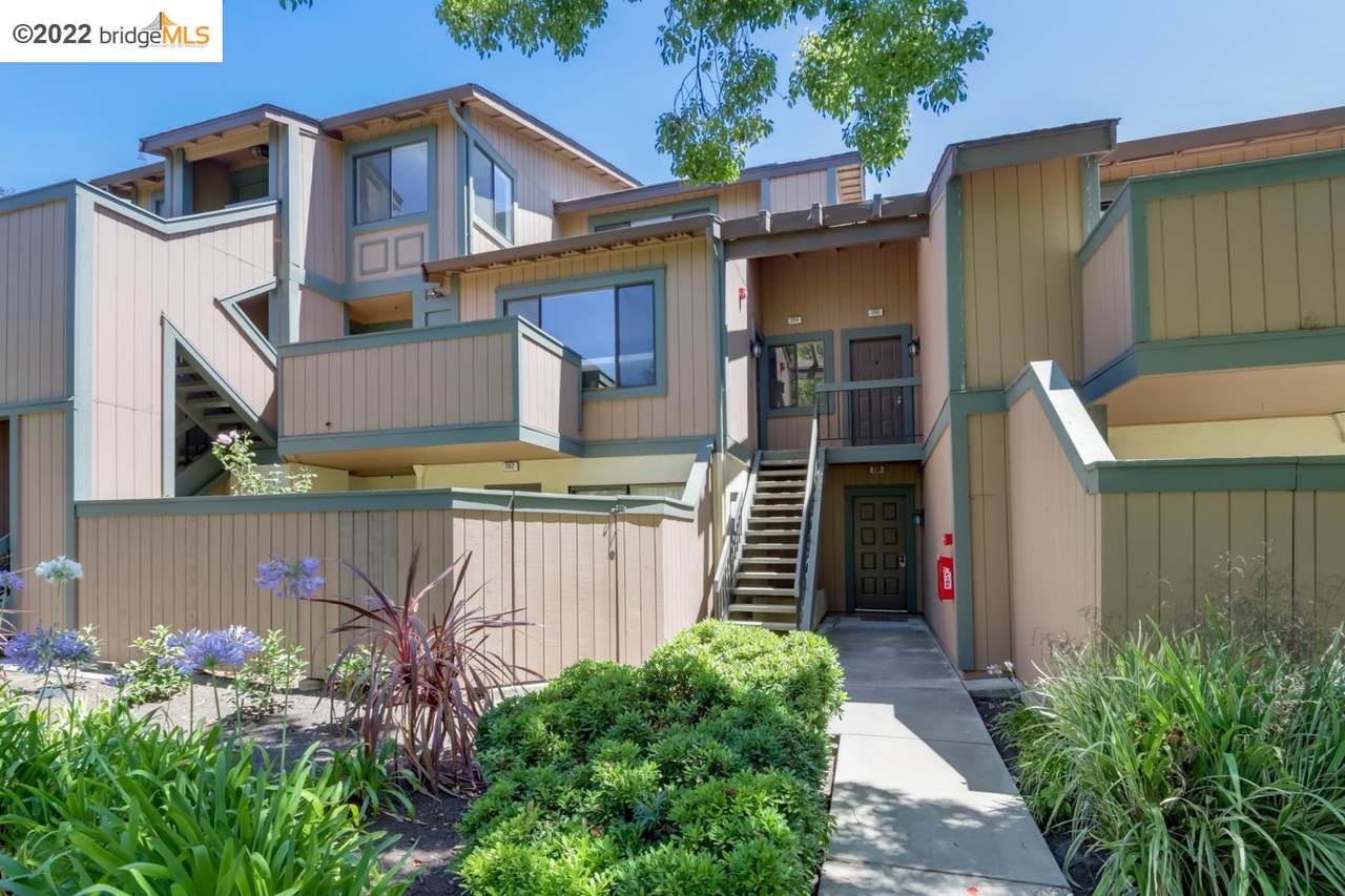 264 Hackamore Cmn - Photo 1