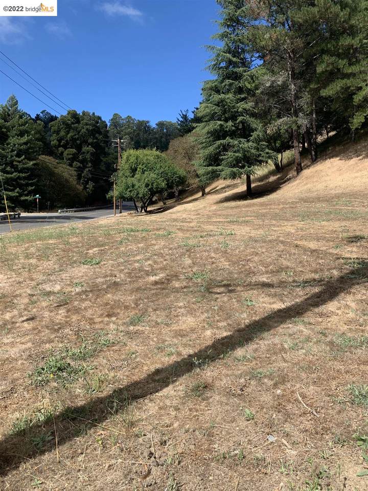 6658 Shepherd Canyon Rd - Photo 1