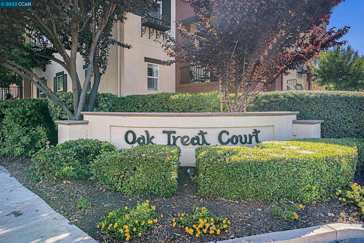 7 Oak Treat Ct - Photo 1