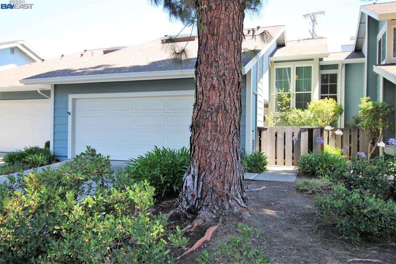 2378 Cheshire Pl - Photo 1