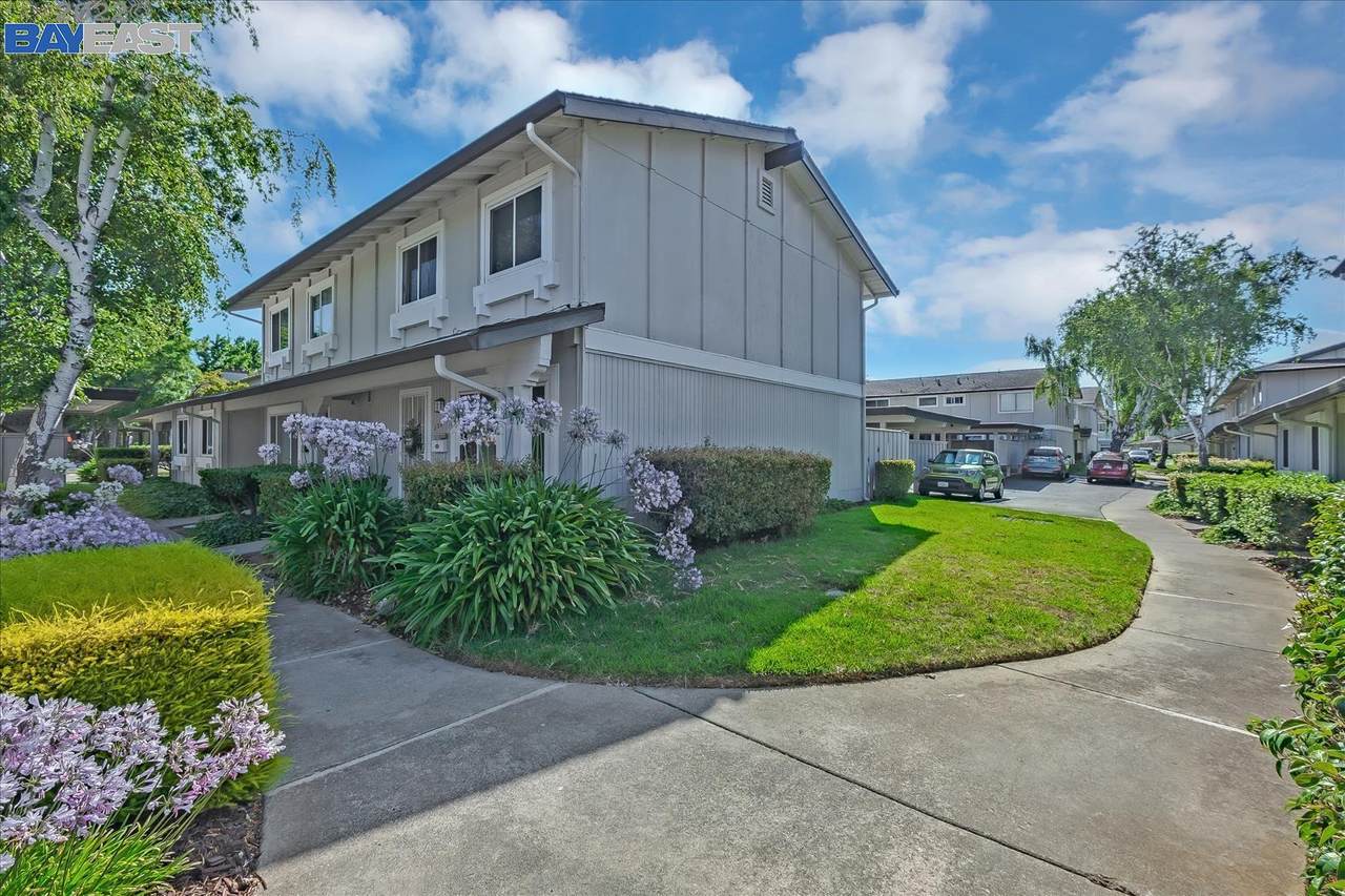 35189 Lido Blvd - Photo 1