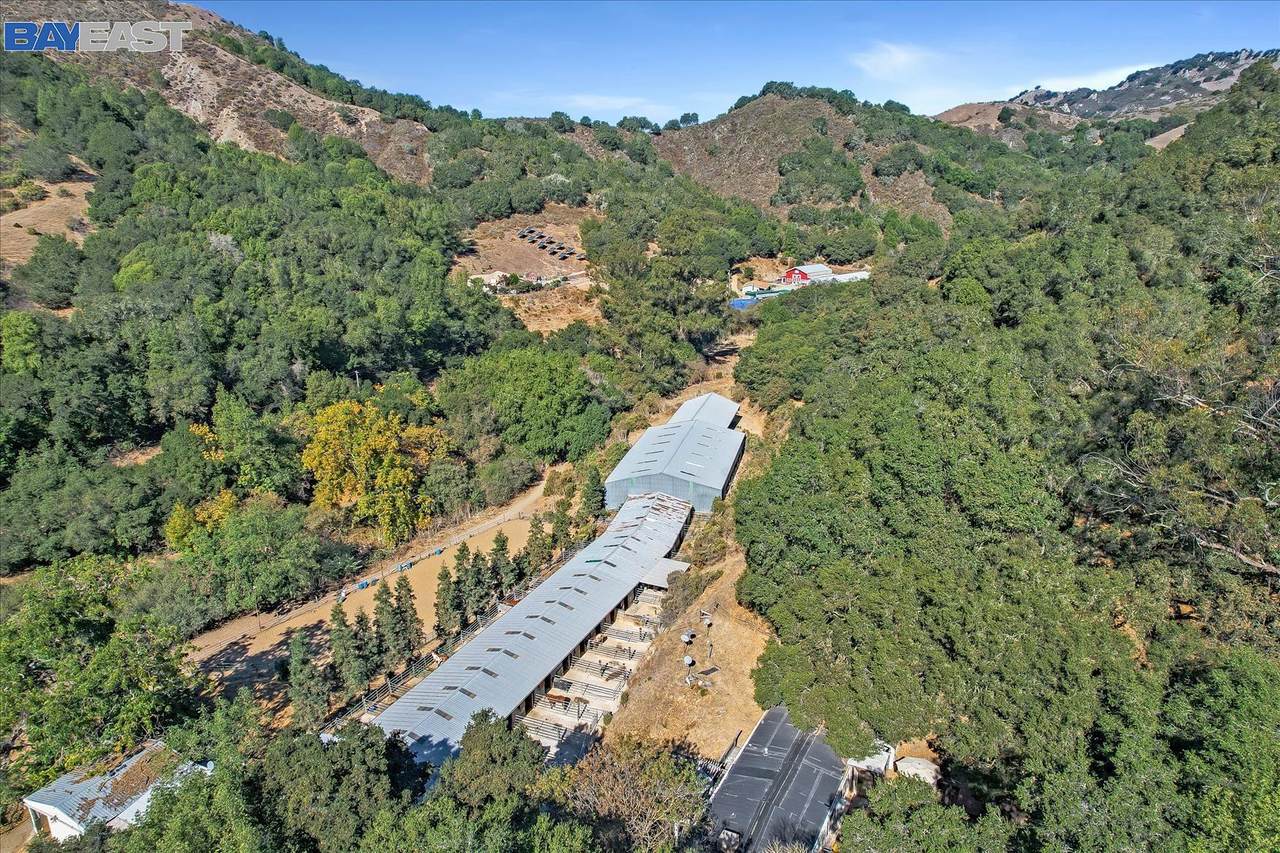 10397 Cull Canyon Road - Photo 1