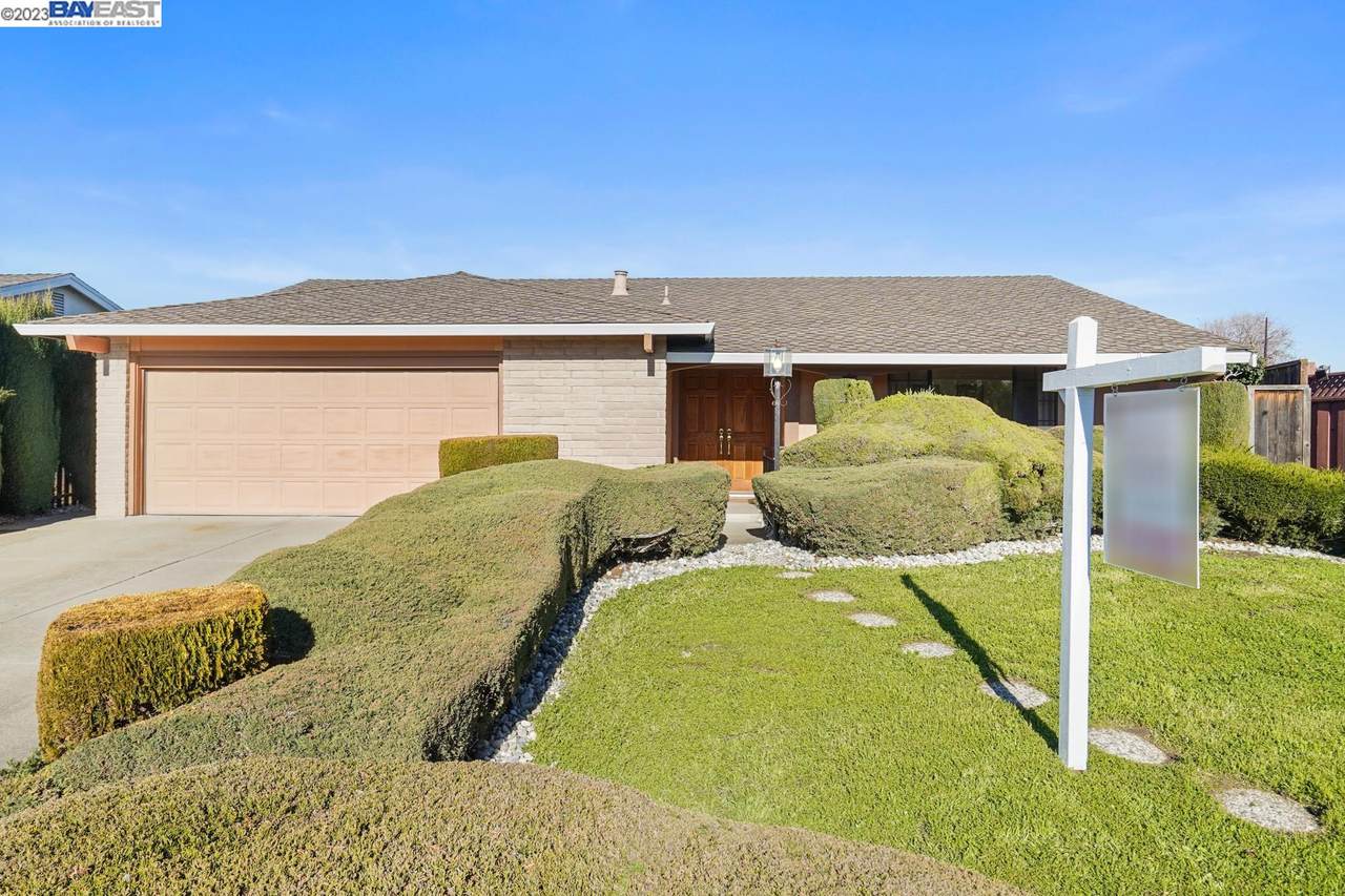 32482 Lake Ree St - Photo 1