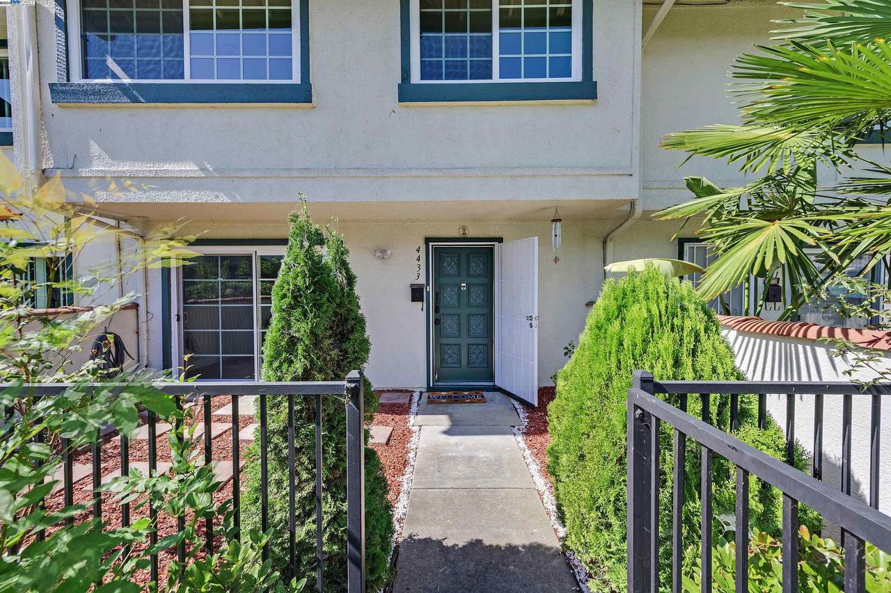 4433 Callecita Ct - Photo 1
