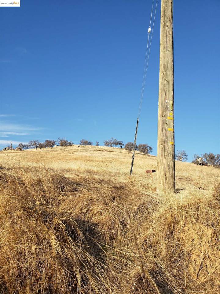 2417 Adelfa - Photo 1