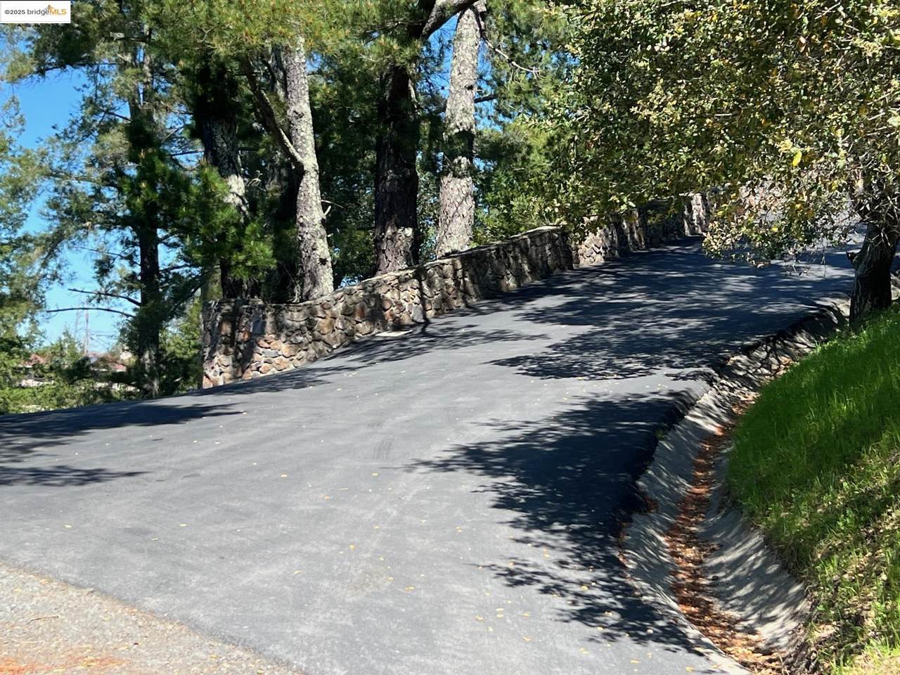 58 Zander Court - Photo 1