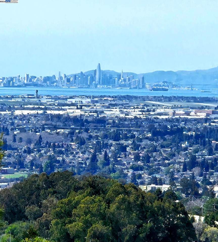 0 Chronicle - Photo 1