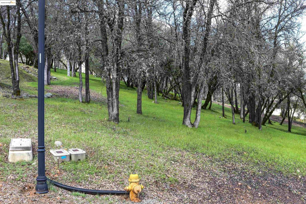 19077 Apple Valley Dr. - Photo 1