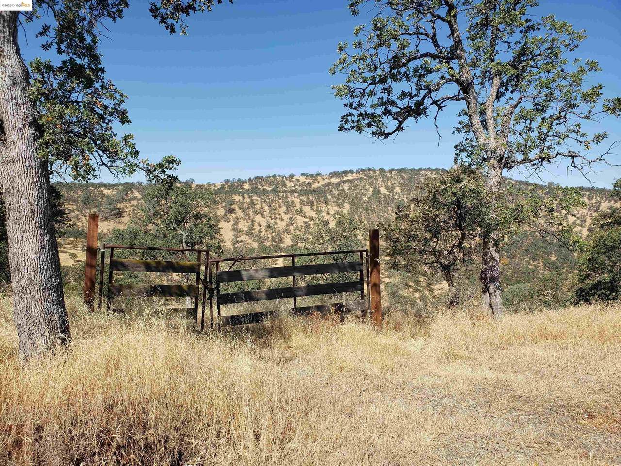 1400 Medina Court - Photo 1