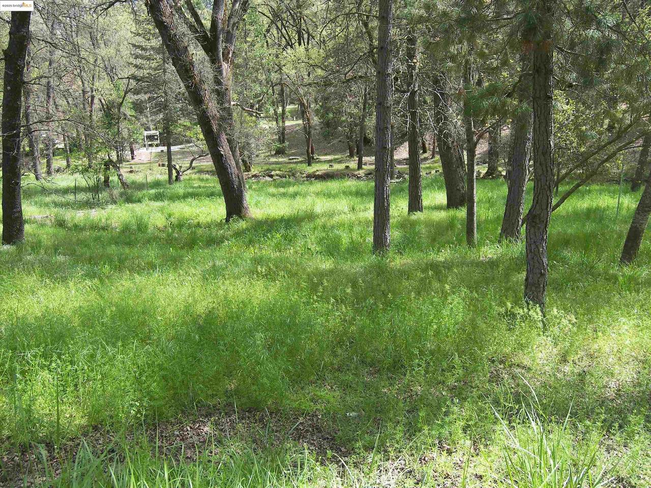 19545 Pleasant View Dr. - Photo 1