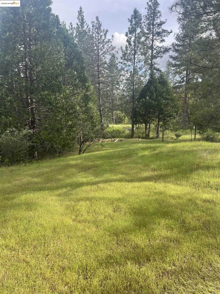 00 Italian Bar Rd. - Photo 1