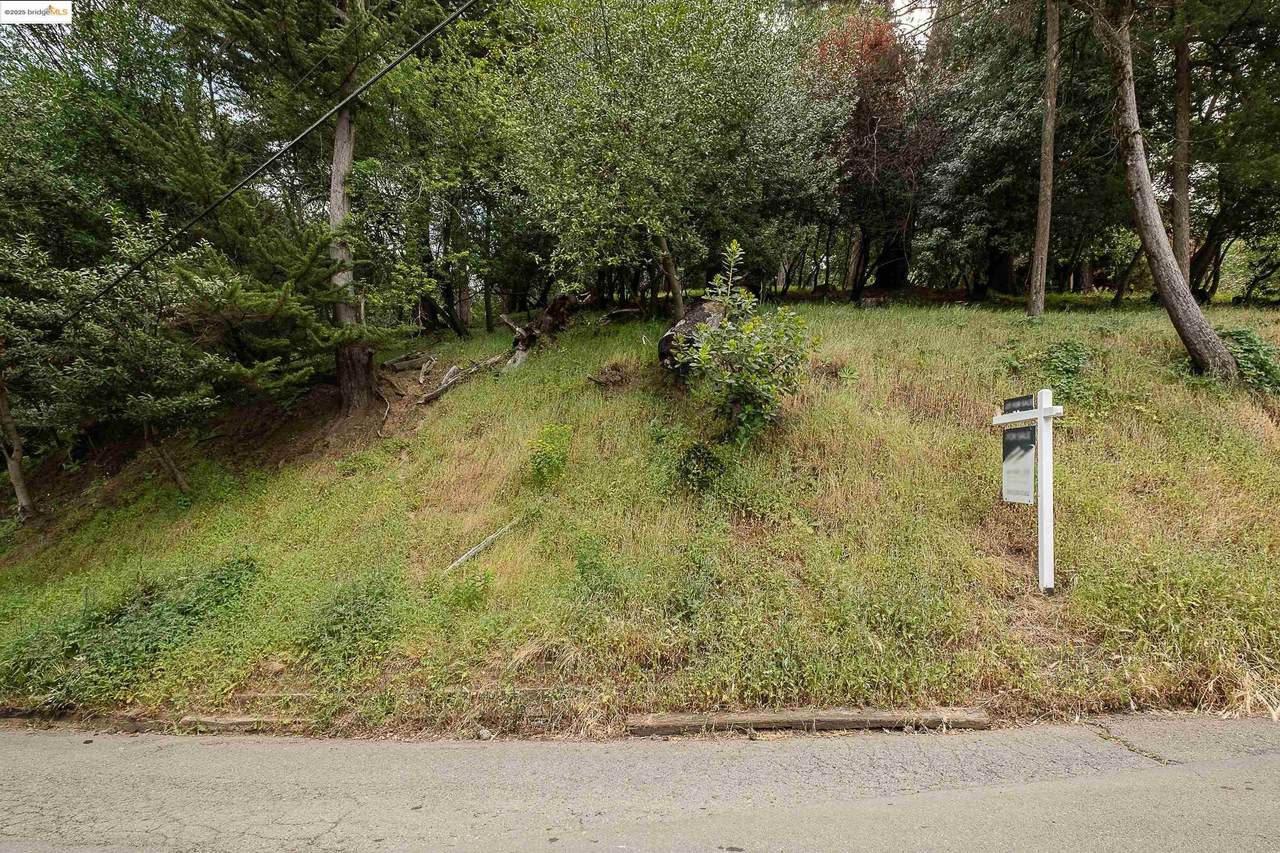 0 Chelsea Dr - Photo 1