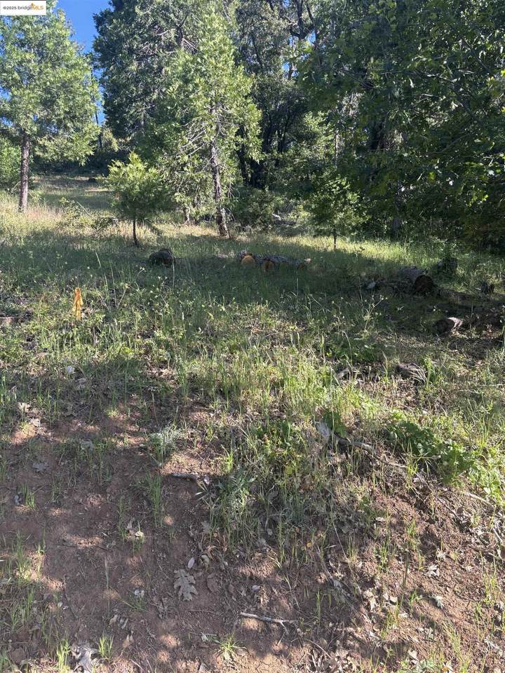 00000 Eastview Dr - Photo 1