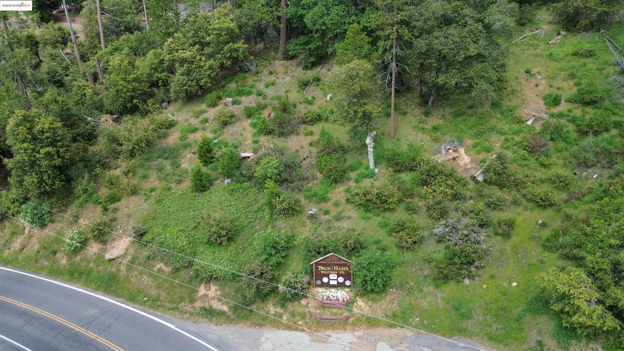 0000 Twain Harte Drive - Photo 1