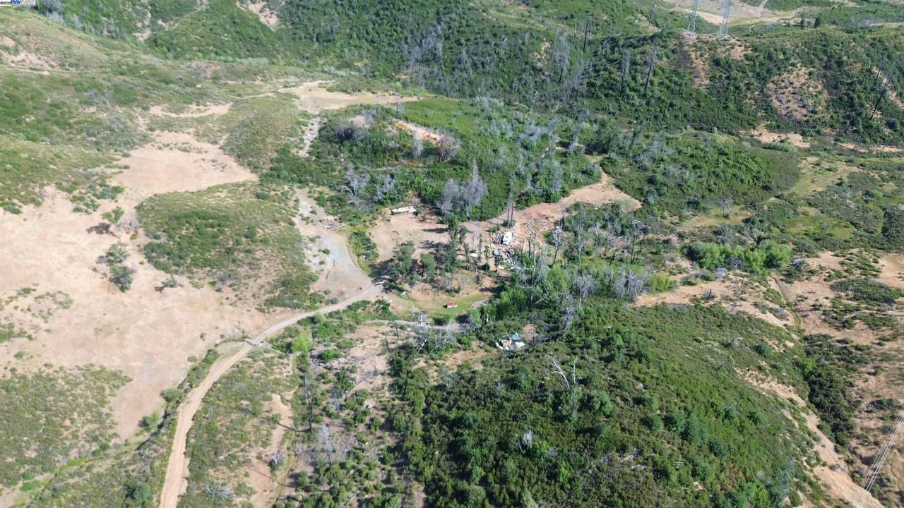 11311 Pine Flat - Photo 1