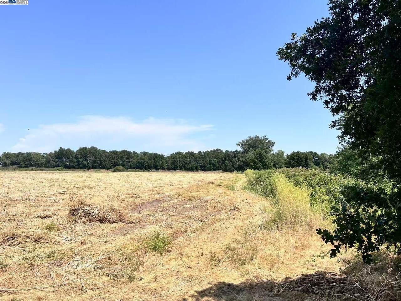 0 River Rd - Photo 1