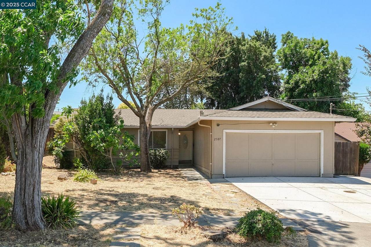 2307 Panoramic Dr - Photo 1
