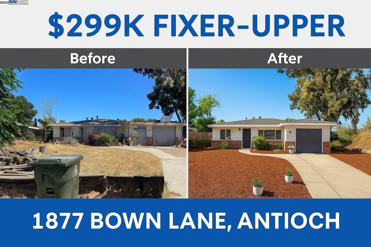 1877 Bown Ln - Photo 1