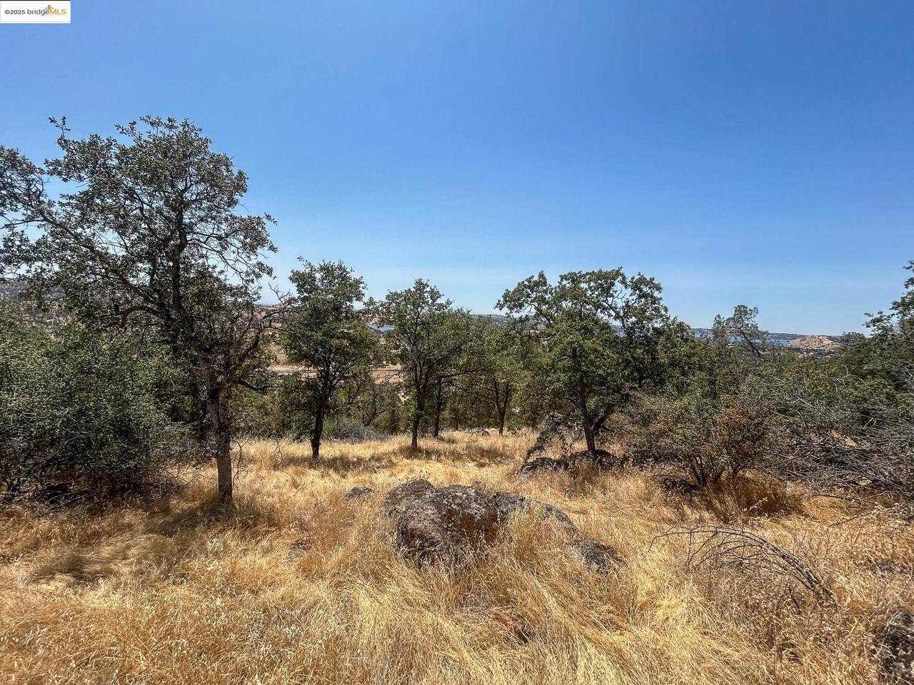 850 Arbolada Drive - Photo 1