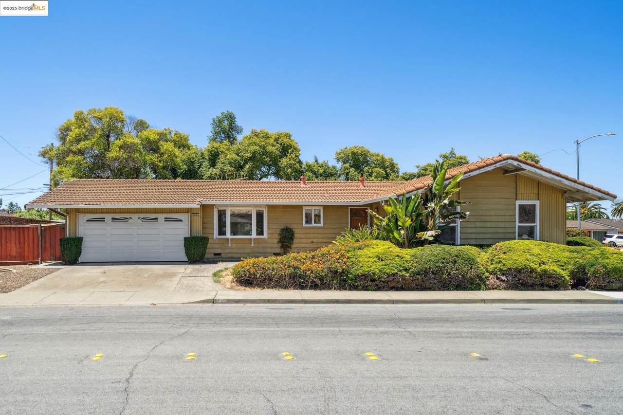 1401 Lemos Ln - Photo 1