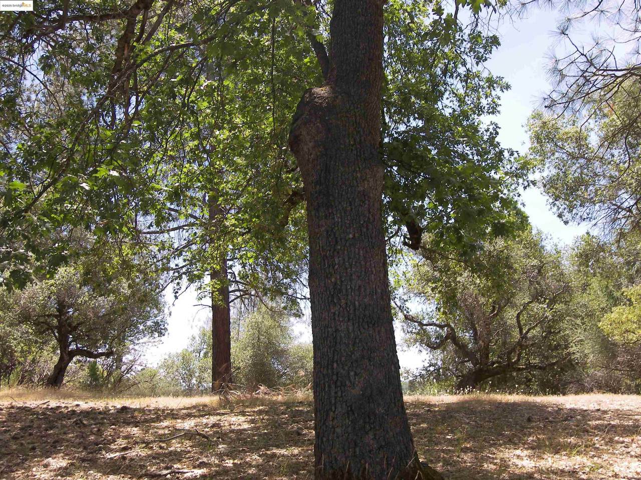 Point View Dr. - Photo 1