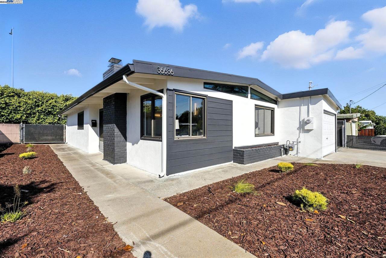 36686 Charles St - Photo 1