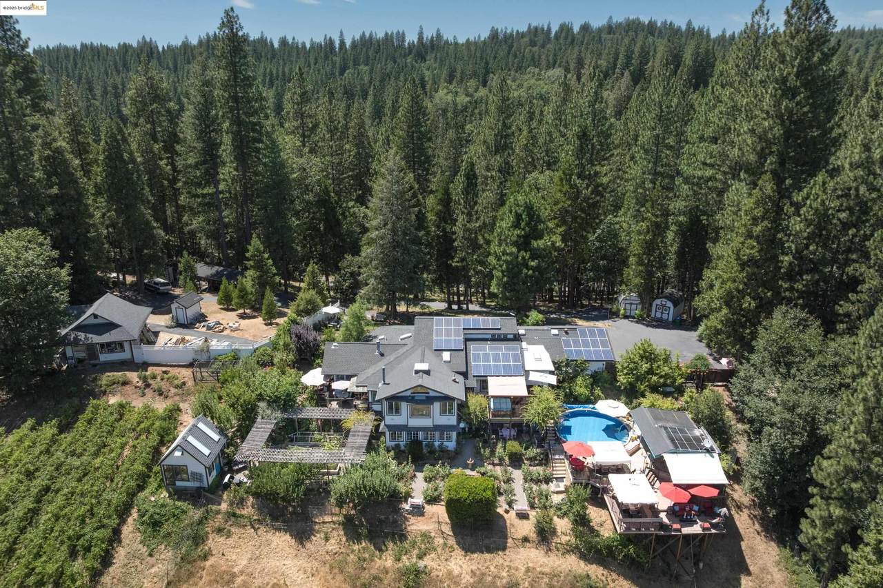 22961 Coffill Rd - Photo 1
