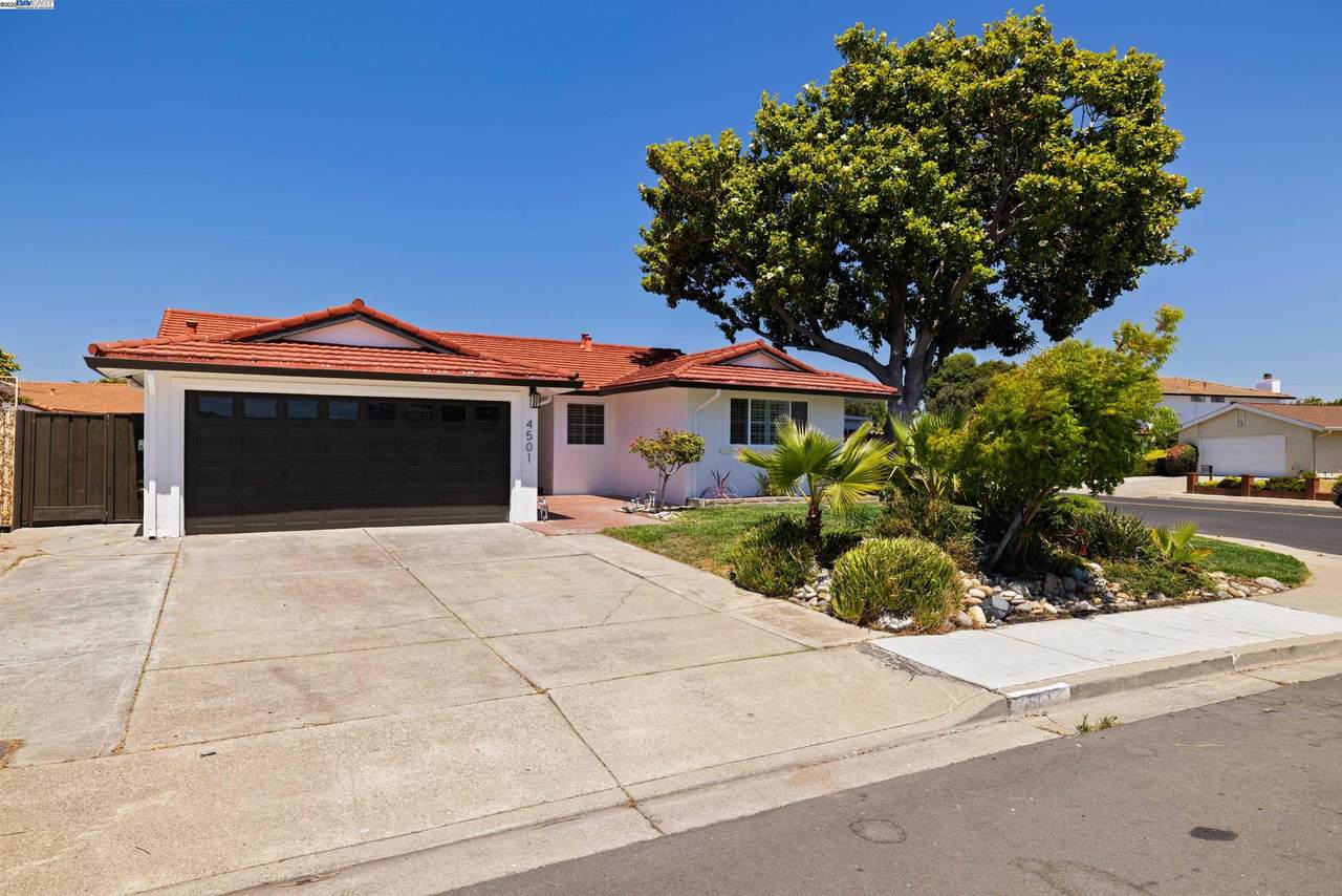 4501 Alice Way - Photo 1