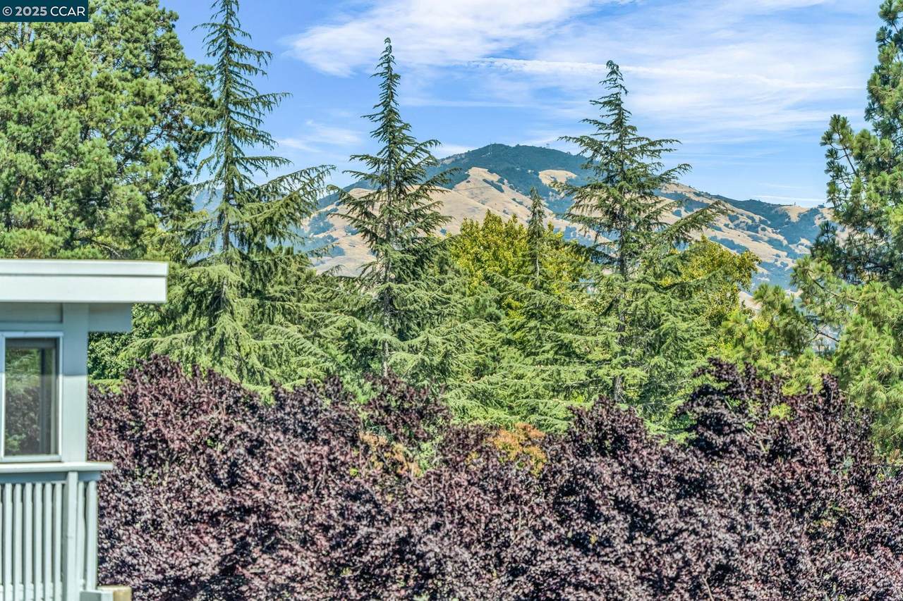 1935 Golden Rain Rd 1 - Photo 1